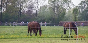 Ronde van Hilvarenbeek-Haghorst-41