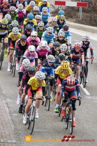 Koepelrace Lierop 2016 6D-15