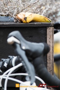 Koepelrace Lierop 2016 6D-16
