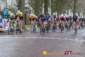 Koepelrace Lierop 2016 6D-29