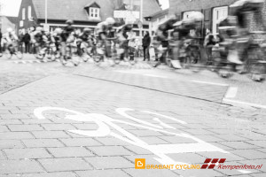 Koepelrace Lierop 2016 6D-5
