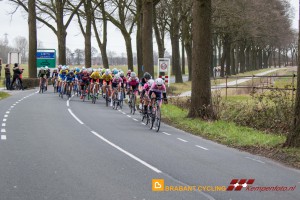 Koepelrace Lierop 2016 6D-8