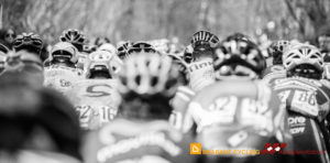 Amstel Gold 2-47